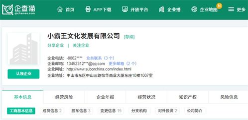 一代“童年记忆”的困局 小霸王破产重整与技术转型之殇